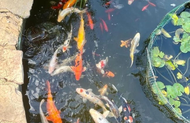 Open Sky Villa - Foto 16