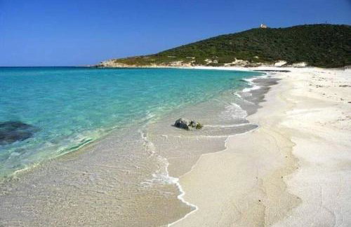 T2 Neuf climatisé dans villa à Corbara - Foto 11