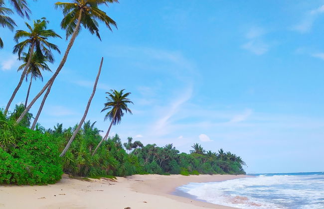 Villa Modara - Photo 51