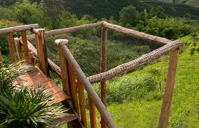 Eco Hotel Glamping El SIlencio - Foto 16