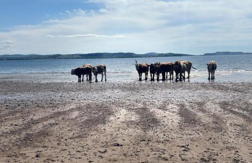 Fortingall Cottage - Dalmally - Foto 28