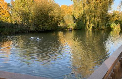 Ferienwohnung Am Kurpark - Foto 24