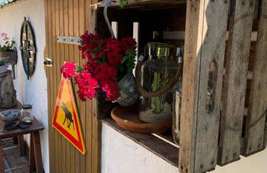 Ferienhaus Norddeichkieker -Nähe Büsum - Foto 37