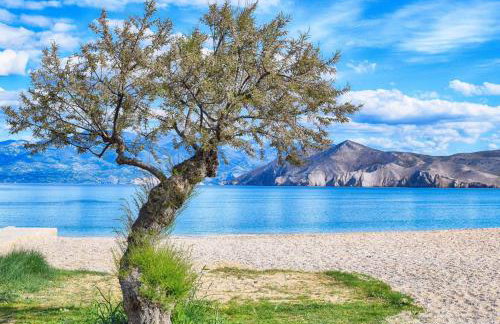 Villa Zlata - Holiday house - Foto 1