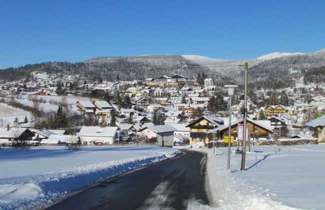 Nice Apartment in Bodenmais - Foto 10