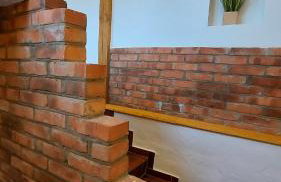 Orle Gniazdo - Foto 71