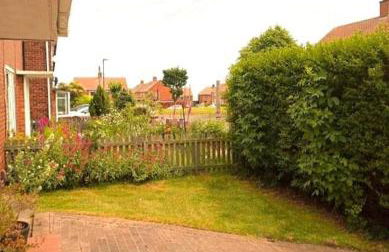 Beside the Seaside Tynemouth - Foto 21