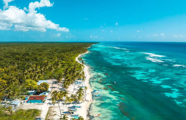 Catalina Island mit Schnorchelerlebnis - Ganztagesausflug - Foto 1