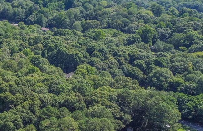 Double Dawg Duo - Foto 29