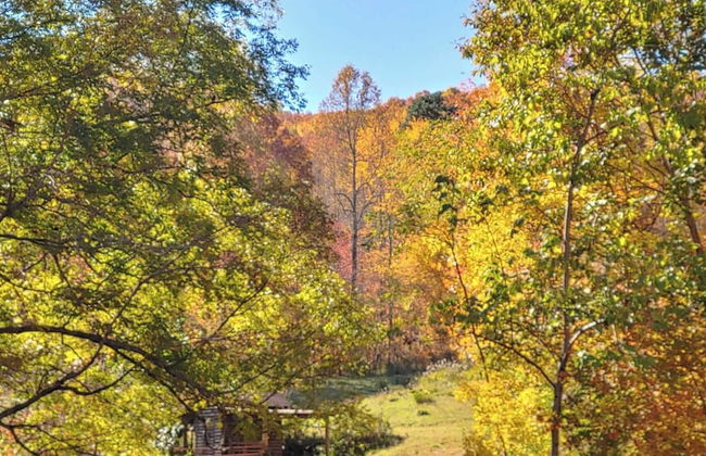Deer Haven by Avantstay Cabin w/ Pond, Waterfall - Photo 8