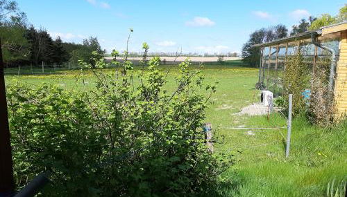 Blockhaus Questin - Photo 4, Garden view
