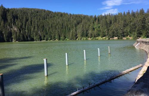 Le petit Kichon - Foto 27