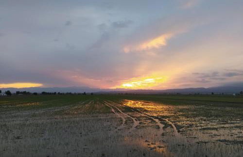 Casa Pastoret - Foto 41