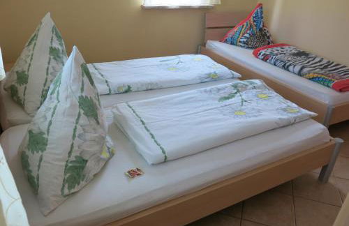 Schölzke‘s Ferienhaus - Photo 57