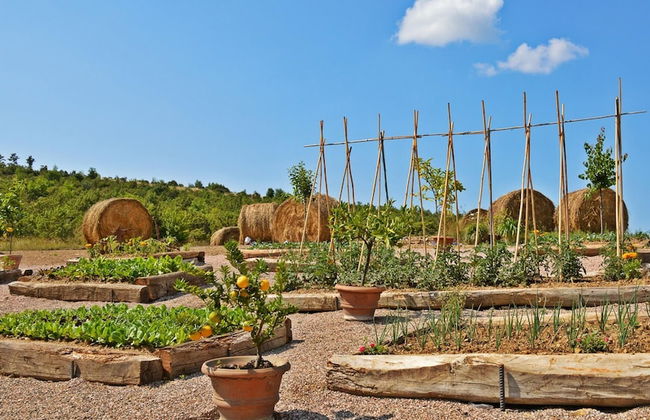 Tr-i381-svim0at - Podere Pomasciano 10 - Foto 22