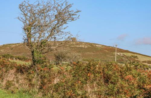 Hefo'r Grug - Photo 37