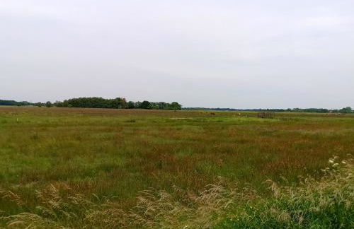 FeWo Unner'd Kastanje - Foto 28