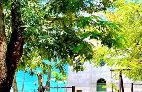 Apê 3Q with Ar Centro Perto de Tudo 50m da Lagoa - Foto 3