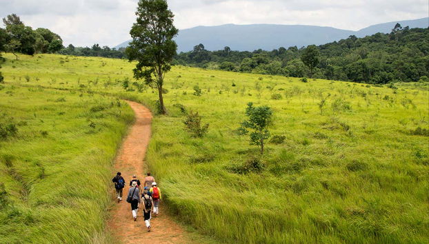 Fazendo a trilha do Parque Nacional Khao Yai