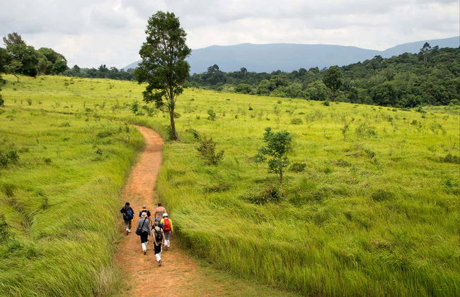 Escursione al Parco nazionale di Khao Yai - Foto 2