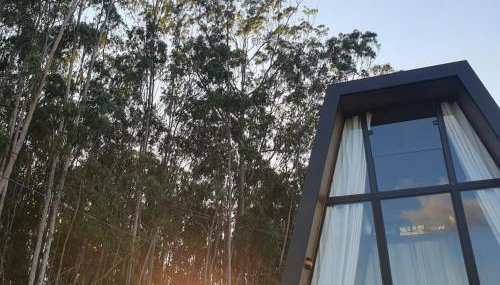 Chalé Noites Extraordinárias - Foto 3