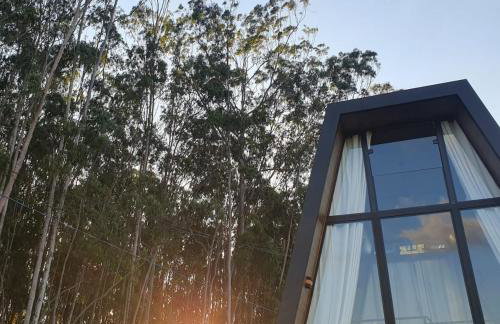 Chalé Noites Extraordinárias - Foto 3