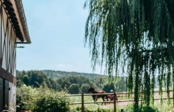 Le Domaine de la Source, 8 min d'Honfleur - 10P - Photo 15