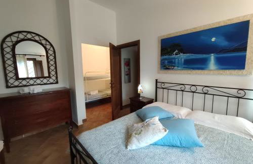 La Selvarella - Foto 40