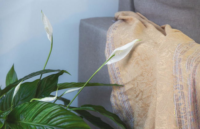 Summer Inn - Foto 26