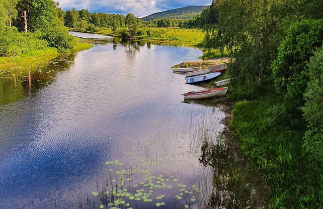 5 Person Holiday Home in Koppom - Foto 16