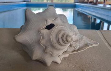 Wilczy Zew Private Spa & Nature - Foto 6