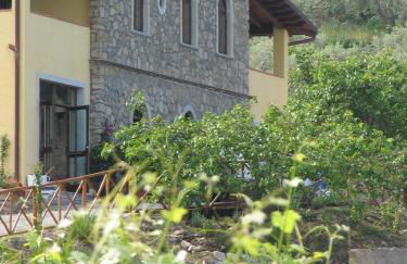 Antica Tindari - Foto 9