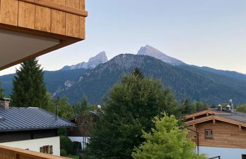 Bergelemente - Bergahorn - Foto 13