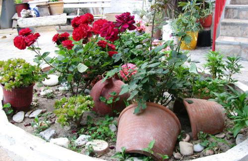 Anna Studios - Foto 46