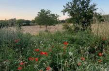 Casa Loredana - Foto 46