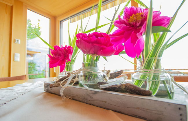 4 bedroom House in Egg with garden and terrace - Photo 29