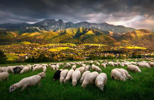 GORSKA OSADA Lovely Chalets Zakopane - Foto 61