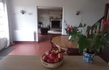 La petite chouette - Photo 14