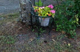 Agriturismo Podernuovo - Foto 71