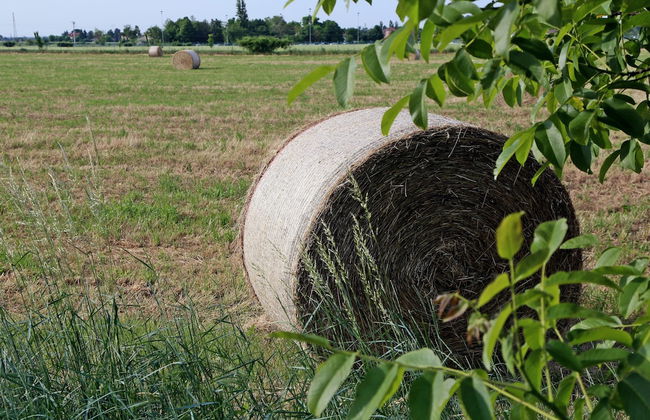 Agriturismo Argaland - Foto 70