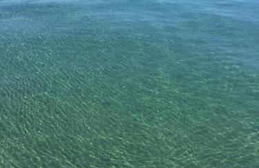 Punta Ala - Tra mare e natura - Foto 39