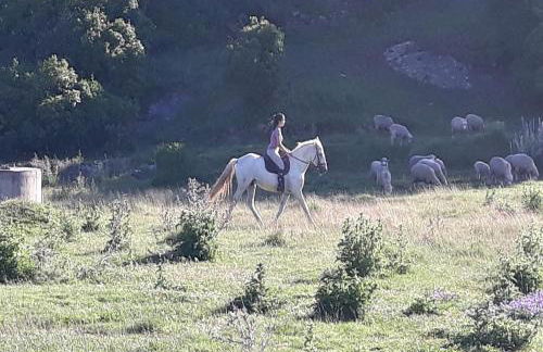 Quinta Da Torre - Óbidos Country House - Foto 21