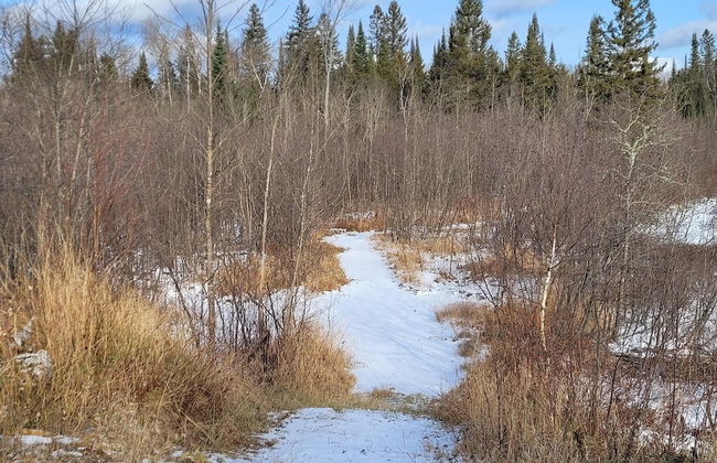 Stunning 2-bed House - Photo 15