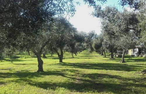 Agriturismo Sa Ruda - Foto 22