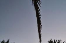 Villa Ange Azur - Foto 14