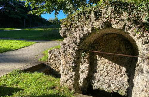 FeWo Wagner - Foto 51