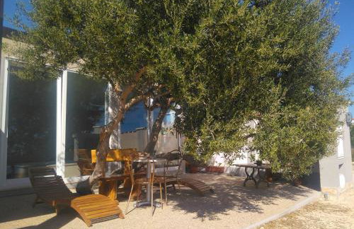 Manora guest pool house Sucuraj - Foto 10