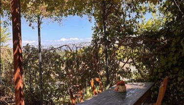 House with a view of Mont Ventoux Sauveterre - Foto 2