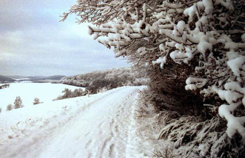 Ferienhaus Landhaus Am Hirtzborn - Foto 80