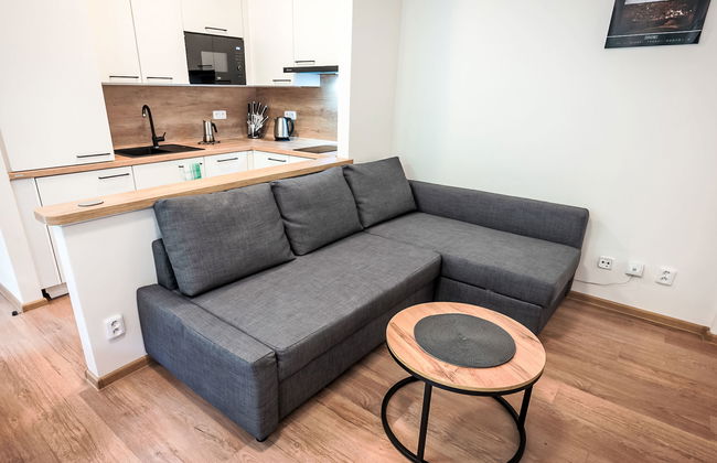 1 bedroom Apartment in Jáchymov - Photo 9